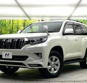 2019 Toyota Land Cruiser Prado TX