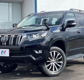 2019 Toyota Land Cruiser Prado TX