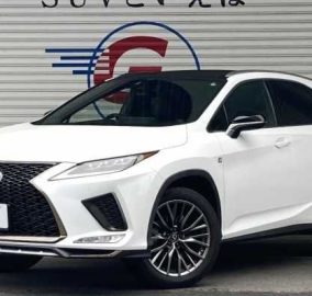 2020 Lexus RX300 F Sport