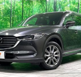 2020 Mazda CX-8 25S ProActive