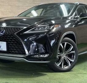 2020 Lexus RX450hL