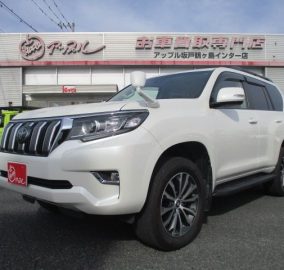 2019 Toyota Land Cruiser Prado TX