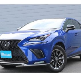 2020 LEXUS NX300