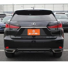 2020 Lexus RX300 F Sport