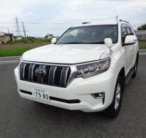 2019 Toyota Prado TX