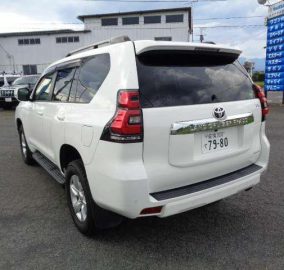 2019 Toyota Prado TX