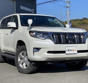 TOYOTA PRADO TX 2019