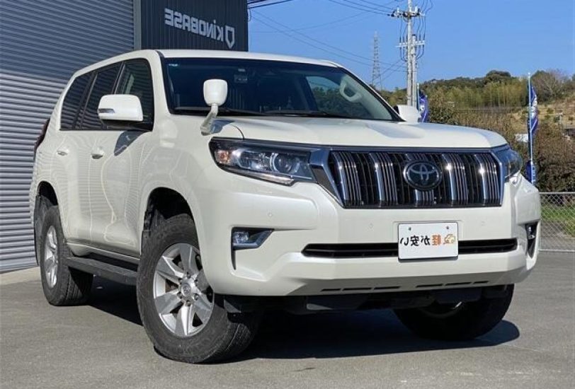 TOYOTA PRADO TX 2019