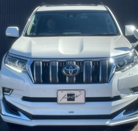 2019 Toyota Prado TX-L