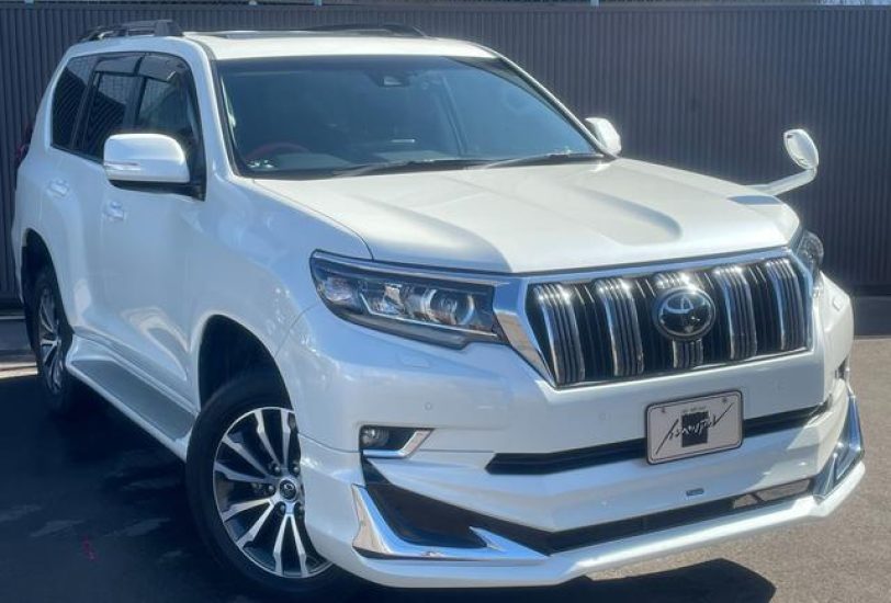 2019 Toyota Prado TX-L
