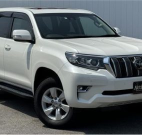 2019 Toyota Prado TXL