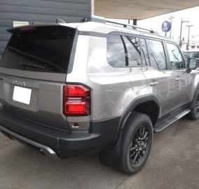 Toyota Prado TRJ250W VX