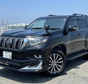 2019 Toyota Prado TXL