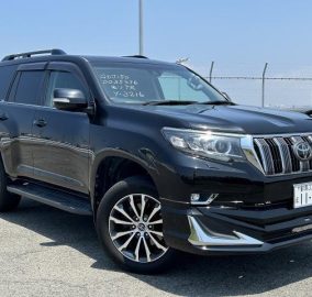 2019 Toyota Prado TXL