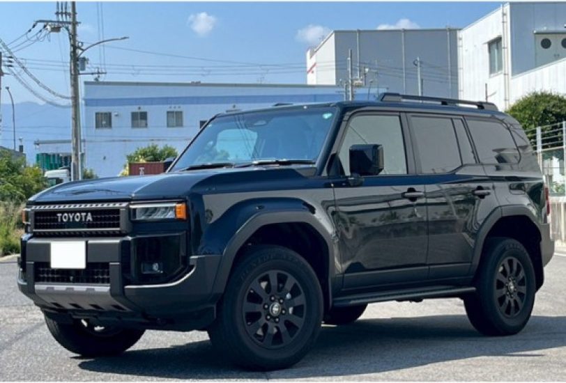 Toyota Prado TRJ250W VX