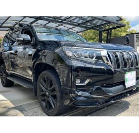 TOYOTA PRADO TX 2019