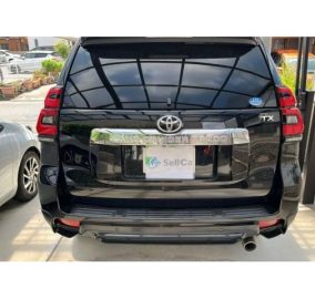 TOYOTA PRADO TX 2019