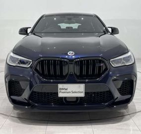 2025 BMW X6 M