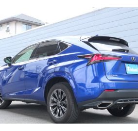 2020 LEXUS NX300
