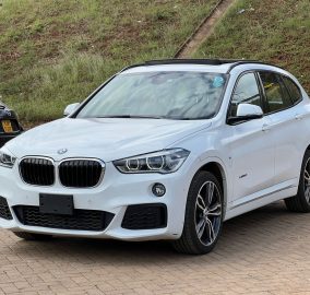 2016 BMW X1 sDrive18i M Sport