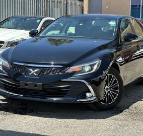 2017 Toyota Mark X 250G