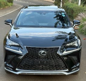 2018 Lexus NX300 F-Sport