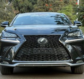 2018 Lexus NX300 F-Sport