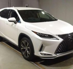 2020 Lexus RX300