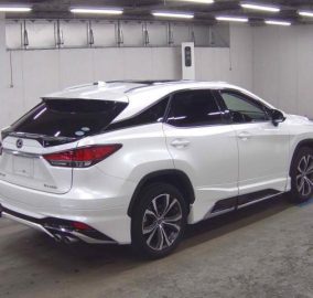 2020 Lexus RX300