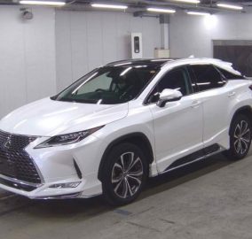2020 Lexus RX300