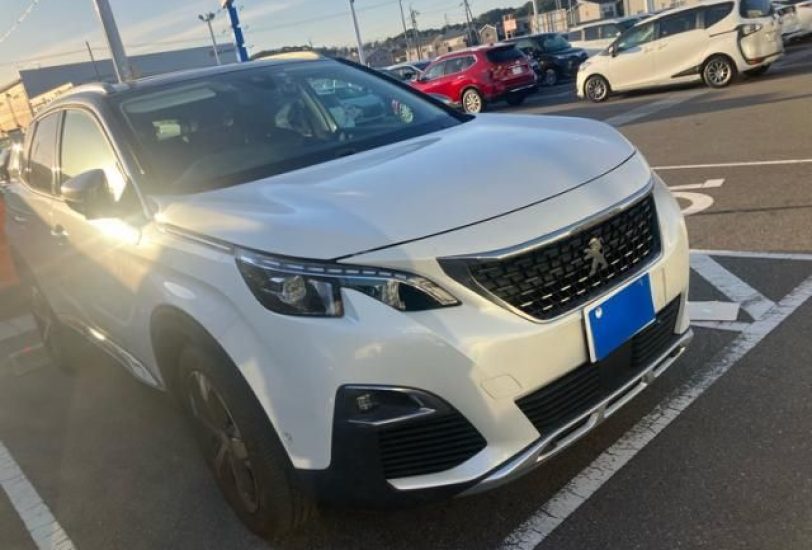 2020 Peugeot 3008 Cross City