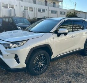 2020 Toyota RAV4