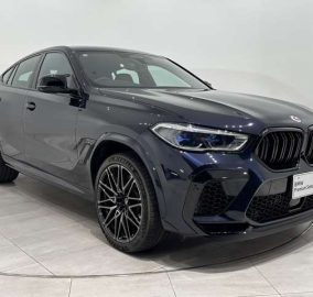 2025 BMW X6 M
