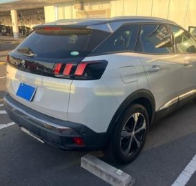 2020 Peugeot 3008 Cross City