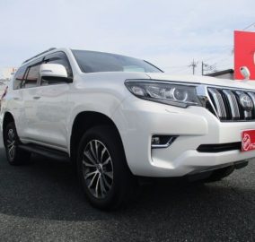 2019 Toyota Land Cruiser Prado TX
