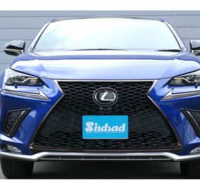 2020 LEXUS NX300