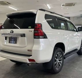 2019 Toyota Prado TX GDJ150