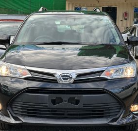 2018 Toyota Fielder 4WD