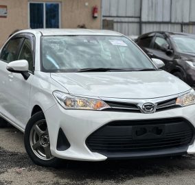 2018 Toyota Corolla Axio Hybrid