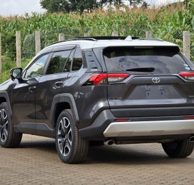 2019 Toyota RAV4 Adventure