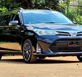 2018 Toyota Fielder Hybrid