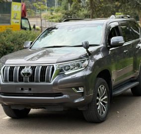 2019 TOYOTA PRADO TX-L