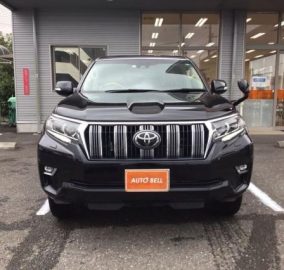 Toyota Prado TZ.G