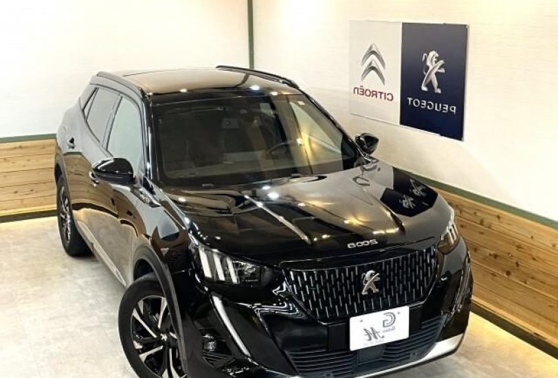 PEUGEOT 2008 GT