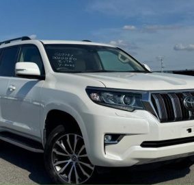 2020 Toyota Prado TZ.G 3DA-GDJ151W