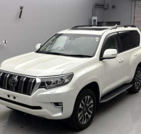 2023 TOYOTA Landcruiser Prado TZ.G