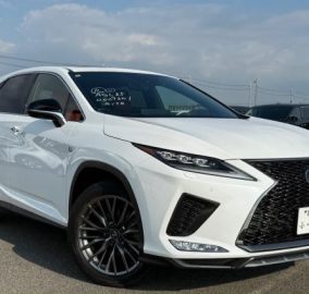 2020 Lexus RX300 F Sport