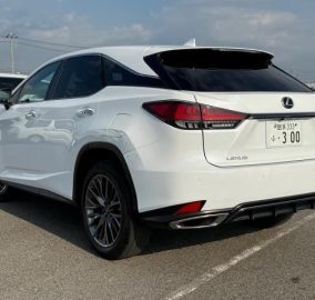 2020 Lexus RX300 F Sport