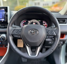 2019 TOYOTA RAV4 ADVENTURE