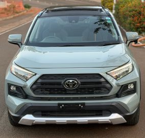 2019 TOYOTA RAV4 ADVENTURE